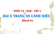 Bài 5 trang 20 Toán 12 tập 1 Cánh Diều
